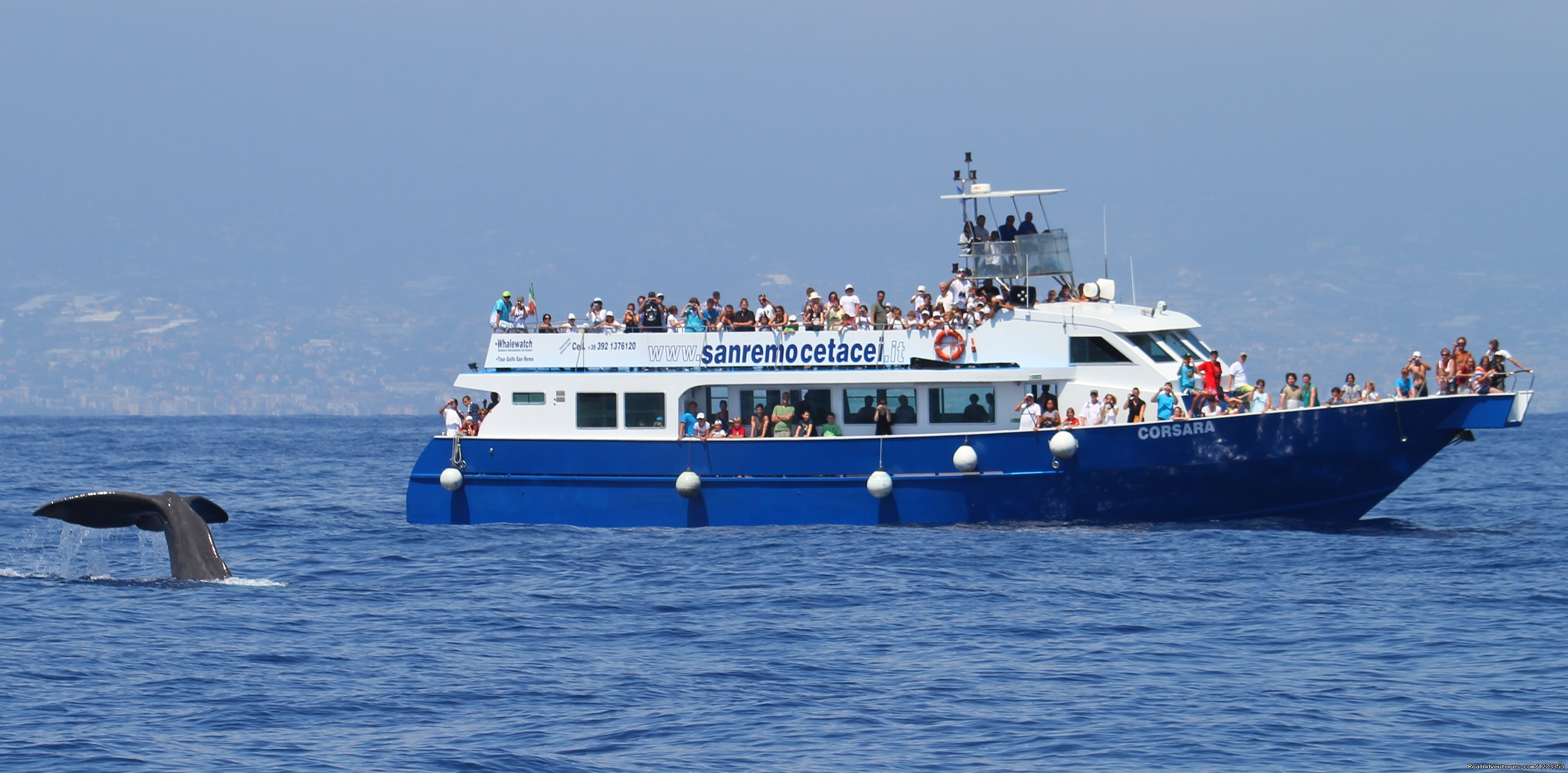Whale Watching Europe, Genoa, Italy Whale Watching RealAdventures