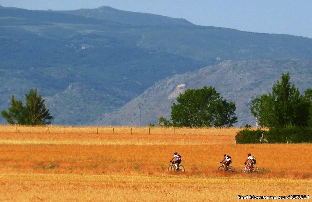 Riding golden fields in Spain | Madrid-Lisbon MTBike | Image #11/17 | 