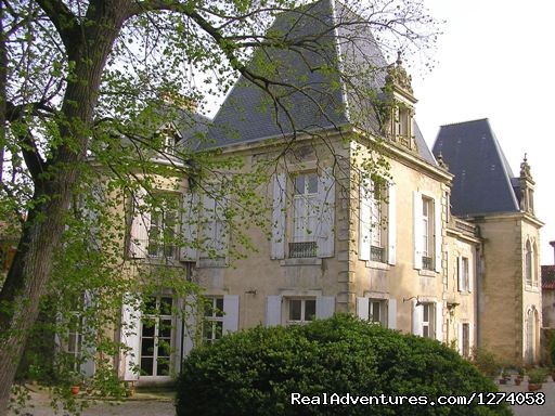 B&B Chateau de Saint Michel de Lanes Photo