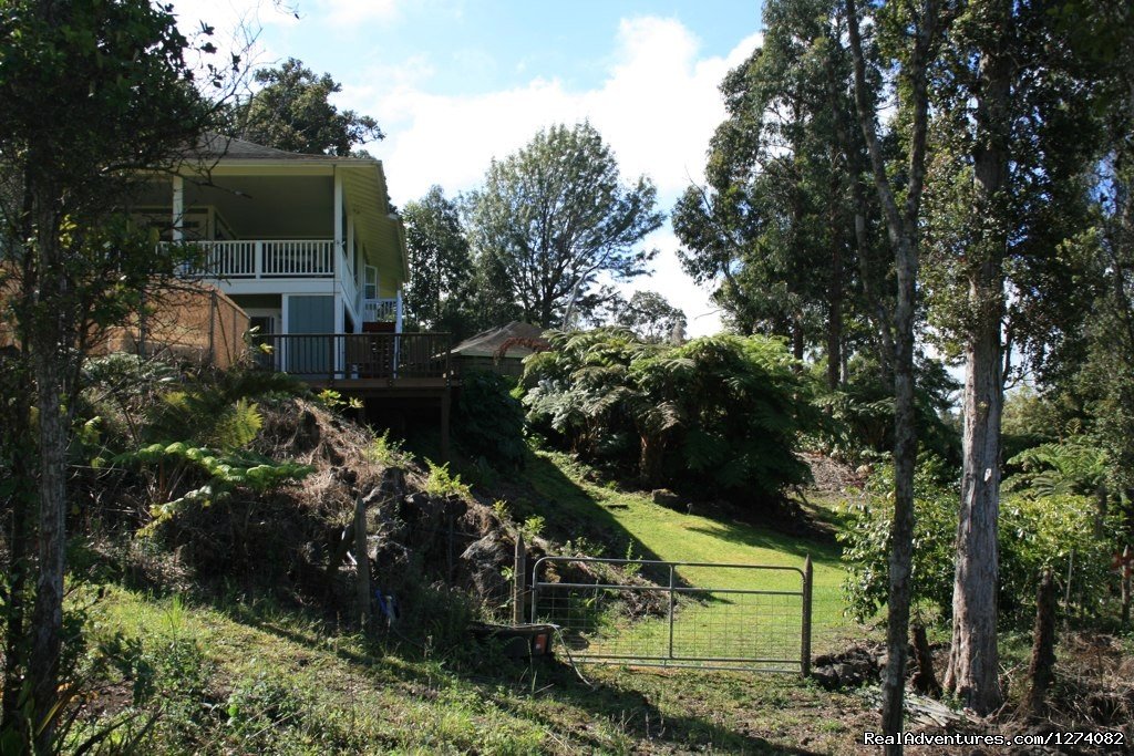 Backyard of Kona Mountain Home | Kona Mountain Home & Cottage, Elegant and Secluded | Image #3/5 | 