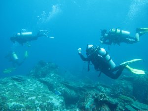 Pulau Weh Dive Packages