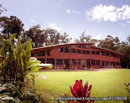 Mobius House | Relaxing North Shore getaway at the Utopium Estate | Haleiwa, Hawaii  | Hotels & Resorts | Image #1/8 | 