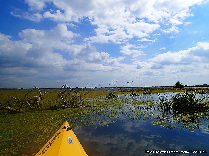 4 day Kayaking in Danube Delta Confort 2013 | Image #12/25 | 