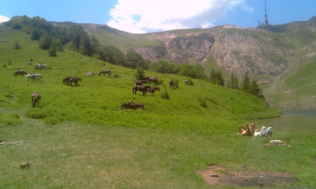 Bjelasica meadows | Horse riding at only ecological country,Montenegro | Image #3/14 | 