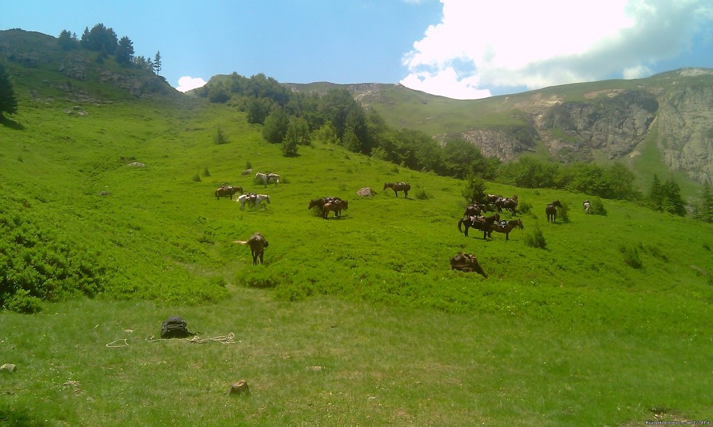 Bjelasica from different angle | Horse riding at only ecological country,Montenegro | Image #7/14 | 