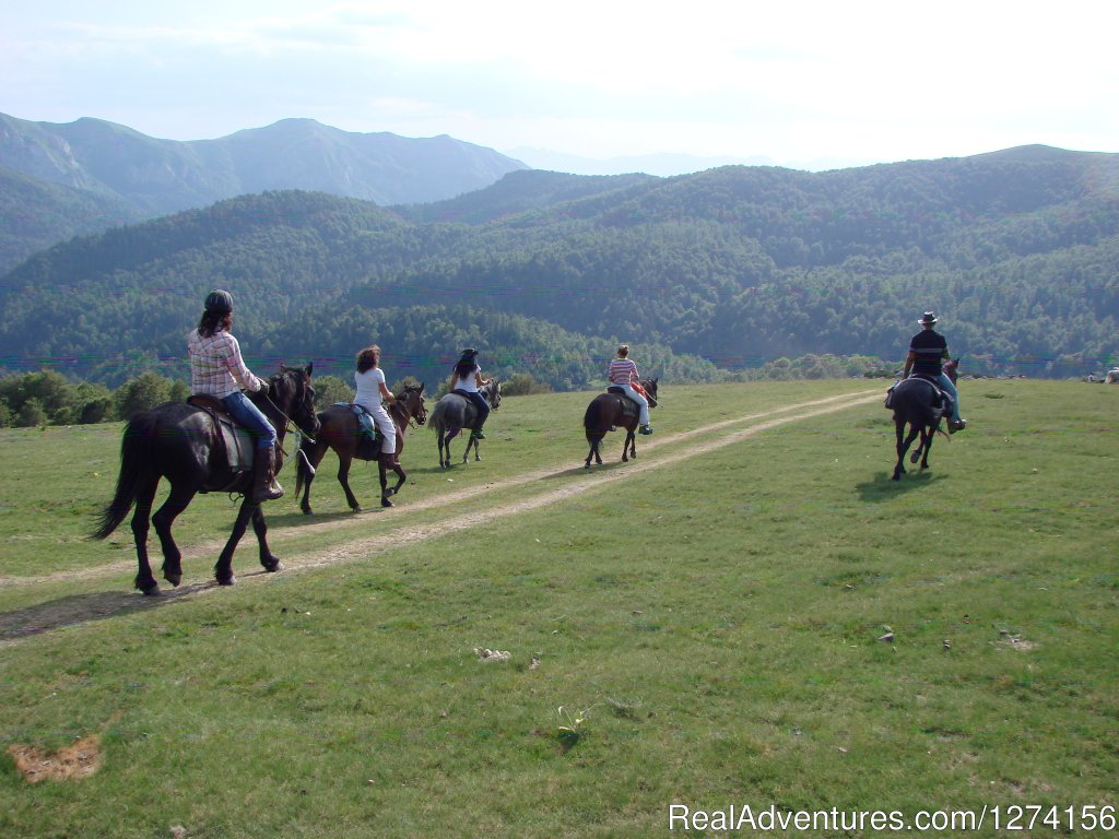 Horse riding at only ecological country,Montenegro | Image #8/14 | 