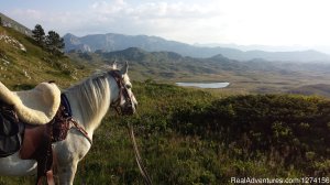 Horse riding at only ecological country,Montenegro