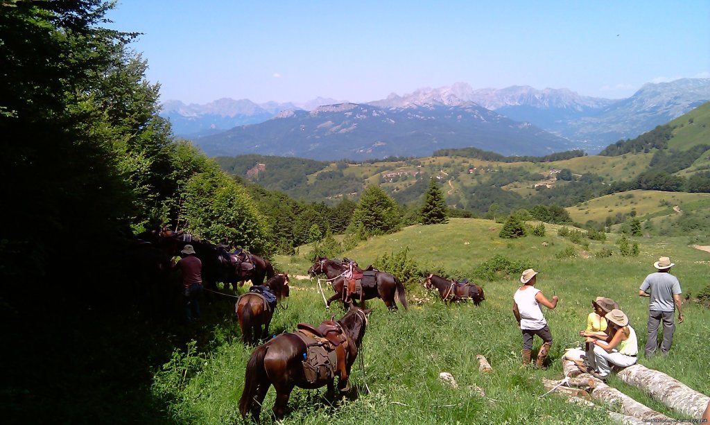 Relax and enjoy | Horse riding at only ecological country,Montenegro | Image #11/14 | 