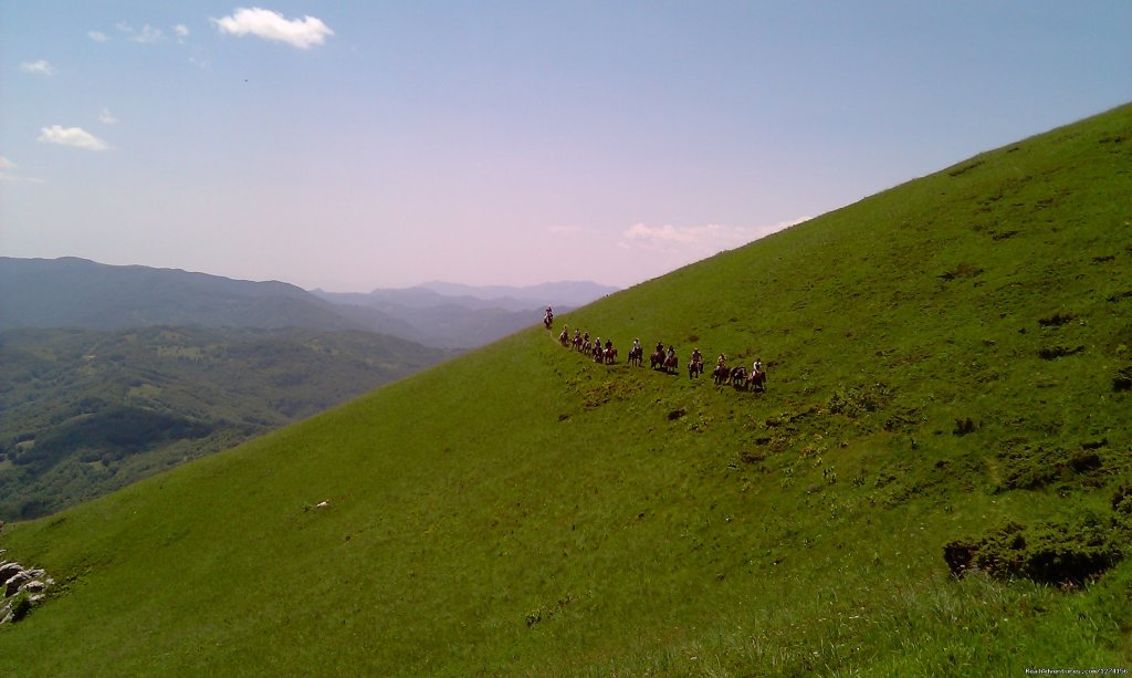 Horse riding at only ecological country,Montenegro | Image #13/14 | 