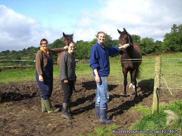 Admiring our horses | Little peace of Heaven in Tipperary, Ireland | Image #6/6 | 