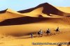travel in Morocco, desert tours , camel trekking | Hassilabia, Morocco
