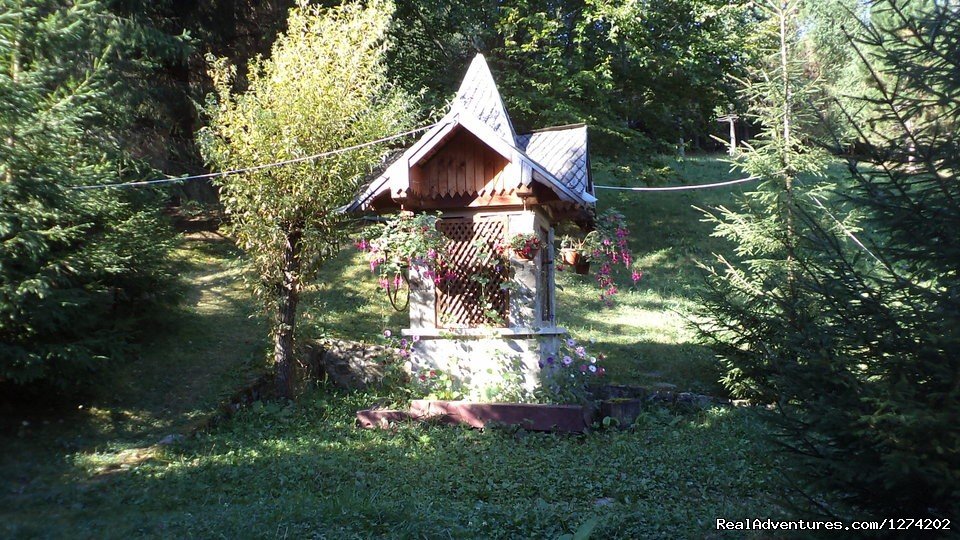 Exterior | Voronet Bucovina Romania Vila Doina | Image #3/3 | 