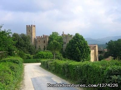 The approach to the castle on a gray day | Live in a castle in breathtaking country | Image #6/8 | 