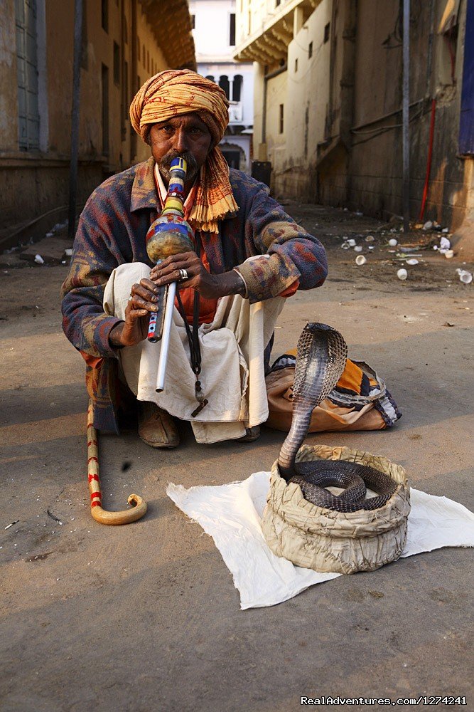 Chance to Meet & Photography of Snake Charmer | Royal Horse Safari in India | Image #4/6 | 