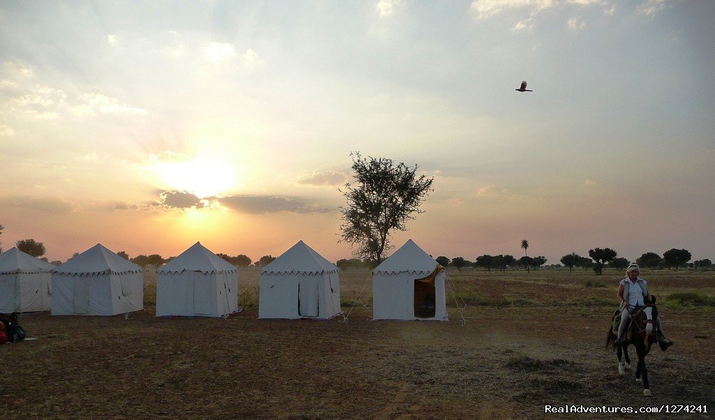 Nicely Located Camp | Royal Horse Safari in India | Image #6/6 | 
