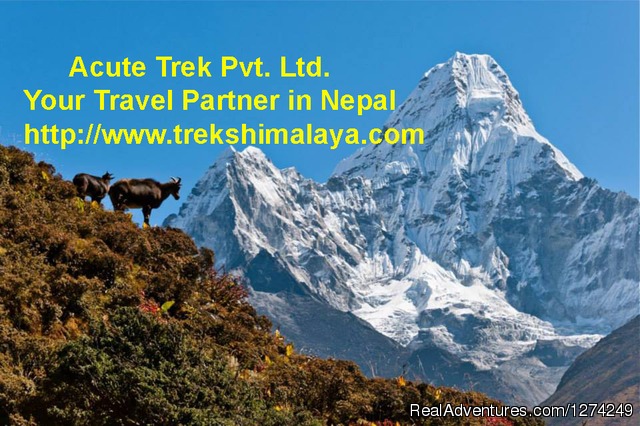 Acute Trek Pvt. Ltd. - Treks Himalaya 