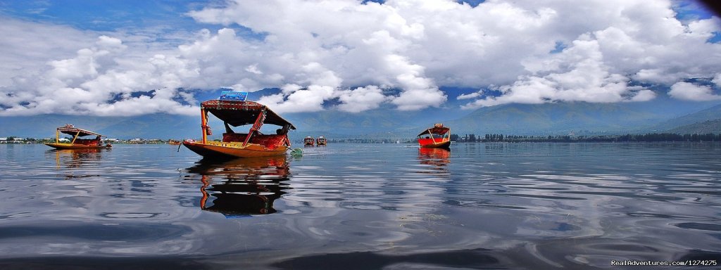 Shikara in Dal Lake Srinagar | KasHmiR ExotiCA - Enjoy The HEAVEN on Earth | Srinagar, India | Sight-Seeing Tours | Image #1/21 | 