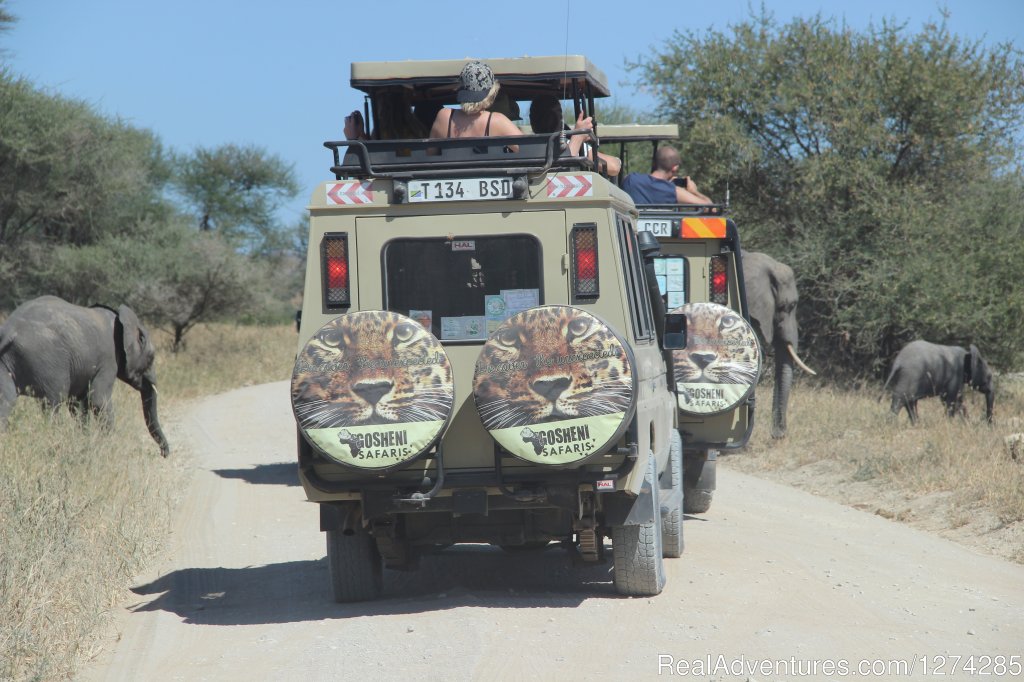 Serengeti Migration Safaris 2015 | 6 Days Serengeti Wildebeest Migration | Image #10/16 | 