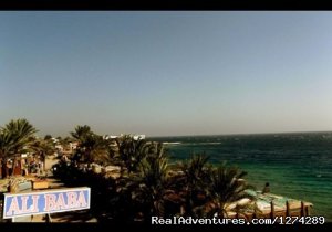 Ali Baba Hotel Dahab | Dahab, Egypt Hotels & Resorts | Great Vacations & Exciting Destinations