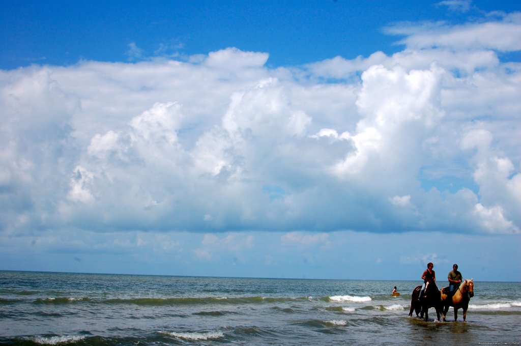 Horseback Riding on the Beach | Image #2/6 | 