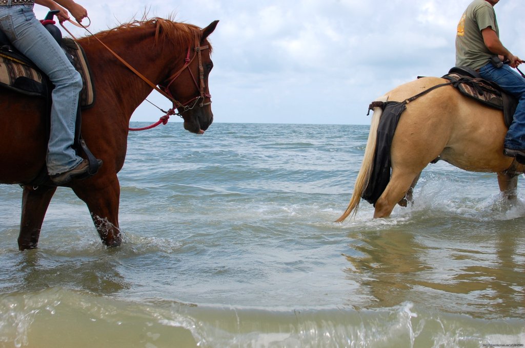 Horseback Riding on the Beach | Image #3/6 | 