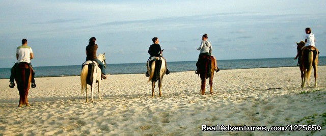 Horseback Riding on the Beach 