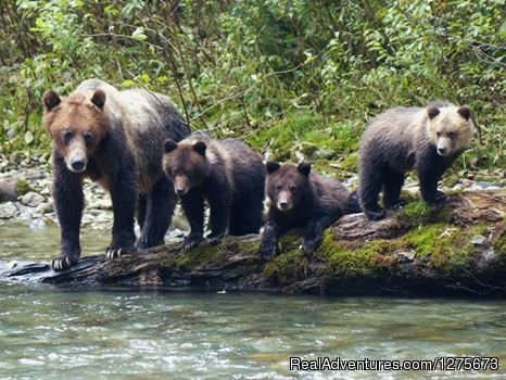 Mom and the Cubs at Wolverine Creek
