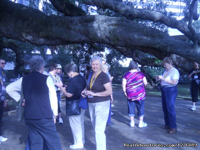 Van and Motorcoach tours Treaty Oak ( 1000 year old Live Oak )