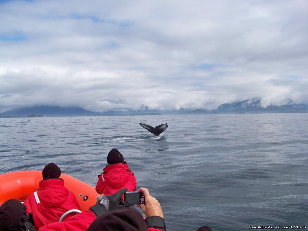 No Window Seats | Outdoor Recreation Excursions from Sitka Alaska | Image #6/6 | 