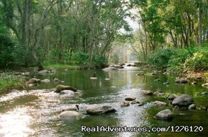Kerala - Chinnar Wildlife Trekking and Camping | Munnar, India | Hiking & Trekking