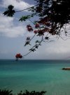 E.Gwada Hostel | Le Gosier, Guadeloupe