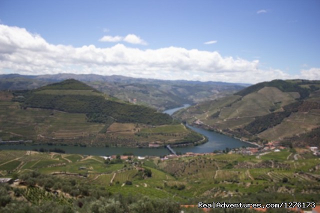 Douro, the Old Ways Photo