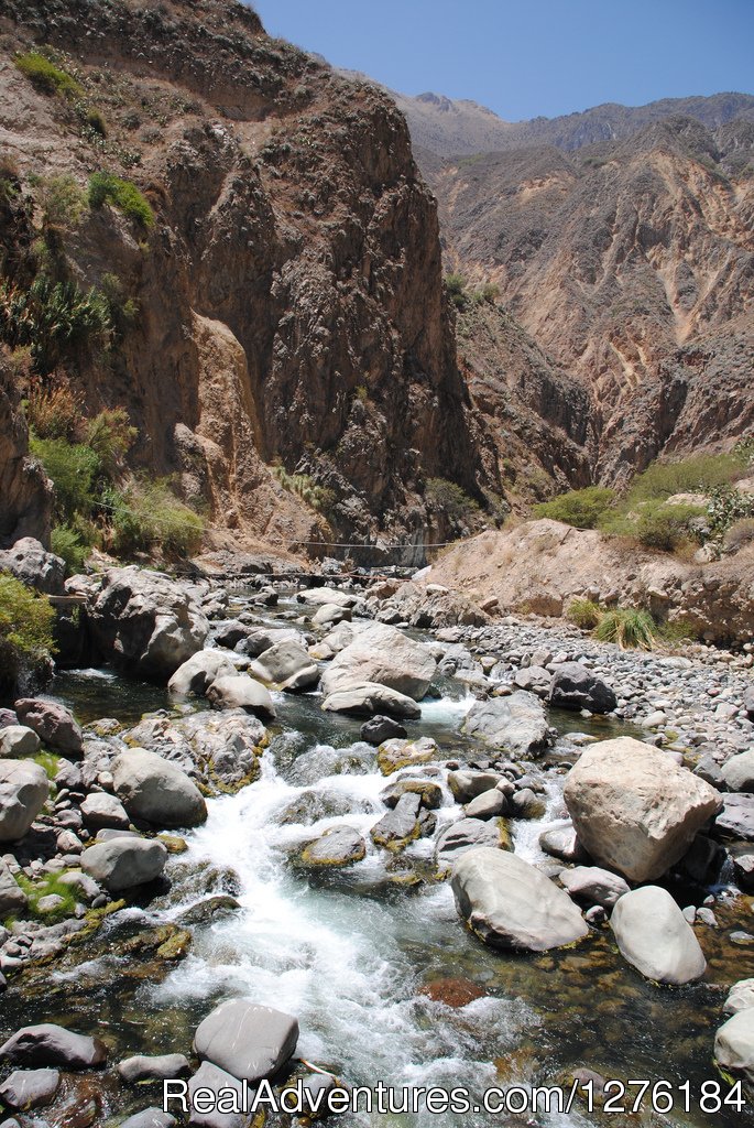 Colca Canyon trek Arequipa -Per? | Image #10/20 | 