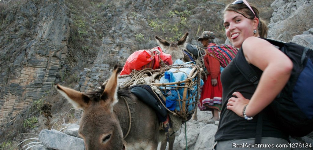 Donkey To Climb Us In Case You Get Tired | Colca Canyon trek Arequipa -Per? | Image #16/20 | 