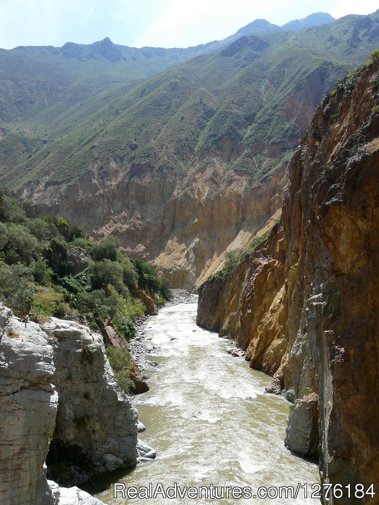 Colca Canyon trek Arequipa -Per? | Image #18/20 | 