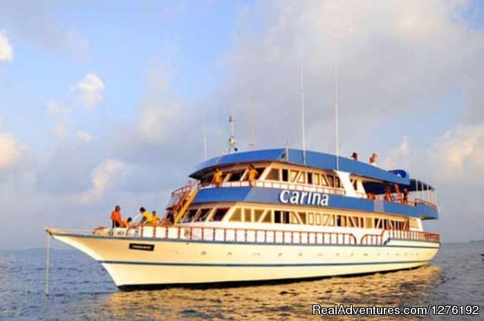 MV Carina dive safari | MV Carina Liveaboard Maldives | Male, Maldives | Sailing | Image #1/11 | 