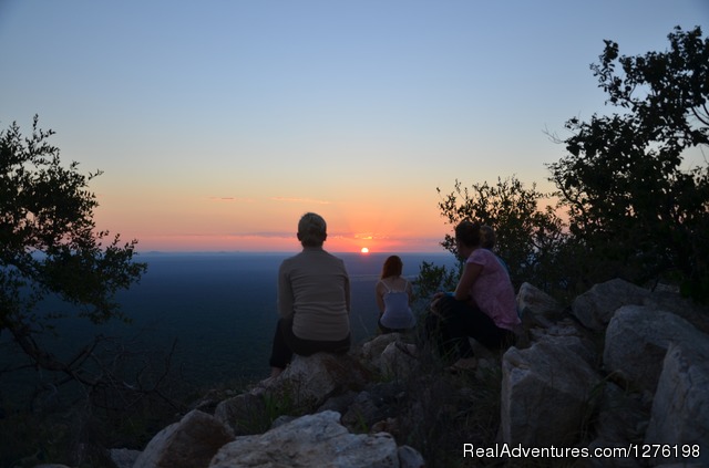 Wildlife Volunteering South Africa Photo