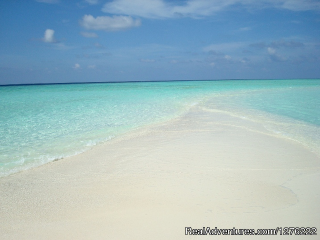 NEW: Snorkel Cruise in Maldives Photo