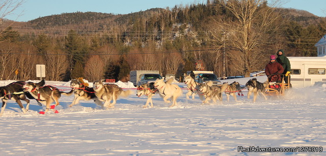 Valley Snow Dogz - White Mountain Sled Dog Tours Photo