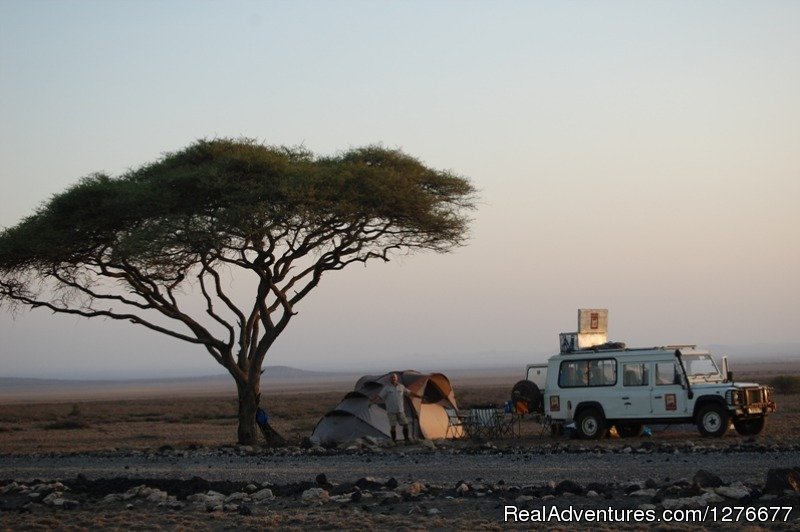 Professional Safaris' Route, Lodge & Tented Camp | Image #5/24 | 