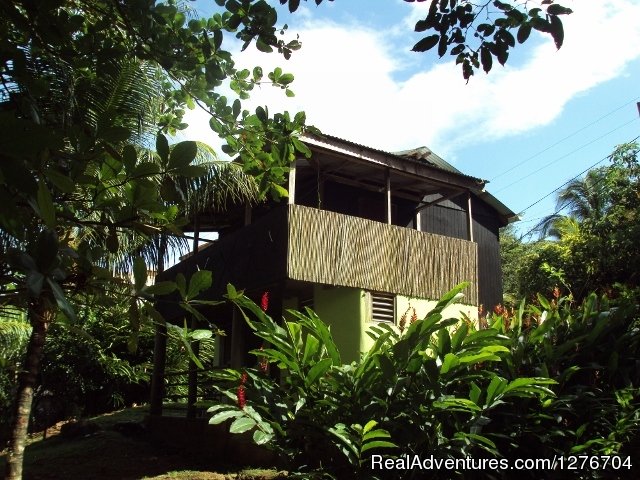 Riversideview House Garden View | Enjoy nature and feel home at Riversideview House | Calibishie, Dominica | Vacation Rentals | Image #1/8 | 