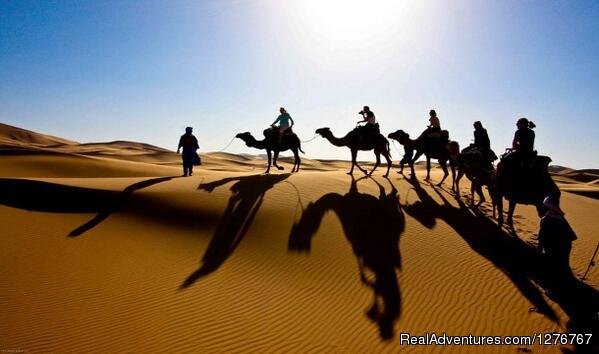 Morocco camel ride | Private Morocco Tours | Marakech, Morocco | Sight-Seeing Tours | Image #1/4 | 
