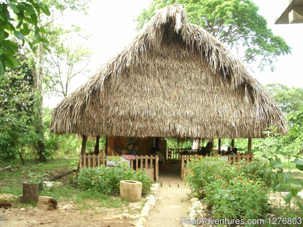 Our traditional thatch on the edge of town | Authentic Garifuna Culture at Warasa Drum School | Punta Gorda, Belize | Cultural Experience | Image #1/6 | 