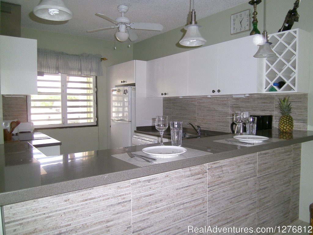 Renovated Kitchen | 30% off thru Dec. 31, Spectacular Oceanfront Condo | Image #6/24 | 