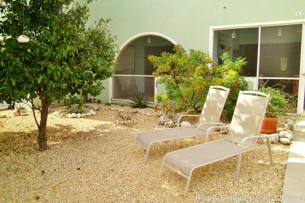 Our garden and lounge chairs | 30% off thru Dec. 31, Spectacular Oceanfront Condo | Image #12/24 | 