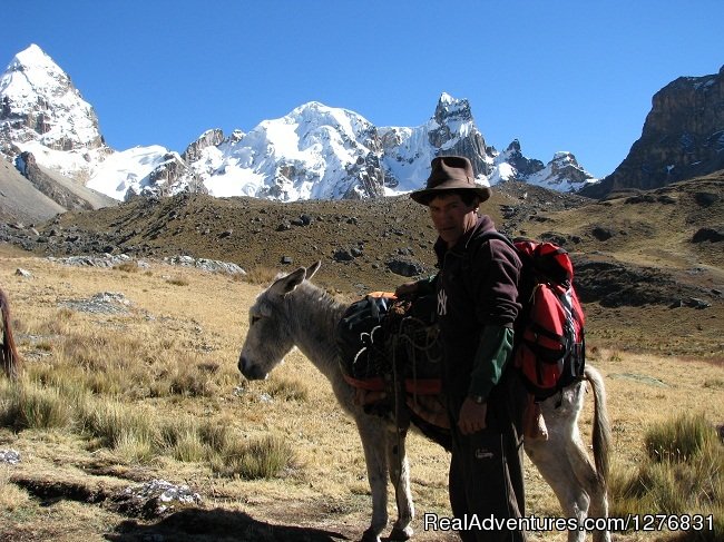 Trekking in Huayhuash, Peru. | Peru Expeditions - Tour Operator | Image #11/26 | 