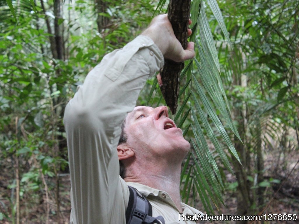 Water vine | Amazon Jungle Tour | Image #3/26 | 