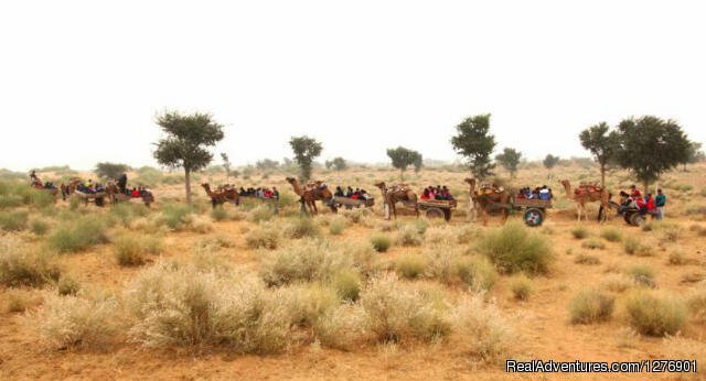 Camel Cart Safari | Umaid Safaris & Desert Lodge, Bikaner | Image #3/13 | 