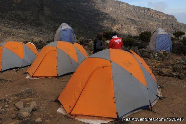 6days-kilimanjaro-climb-machame-route | Kilimanjaro Climbs & Tanzania Safaris | Arusha, Tanzania | Hiking & Trekking | Image #1/1 | 