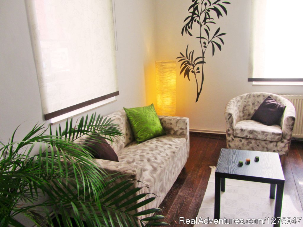 Livingroom | Apartment in the business district | Ajdovscina, Slovenia | Vacation Rentals | Image #1/21 | 